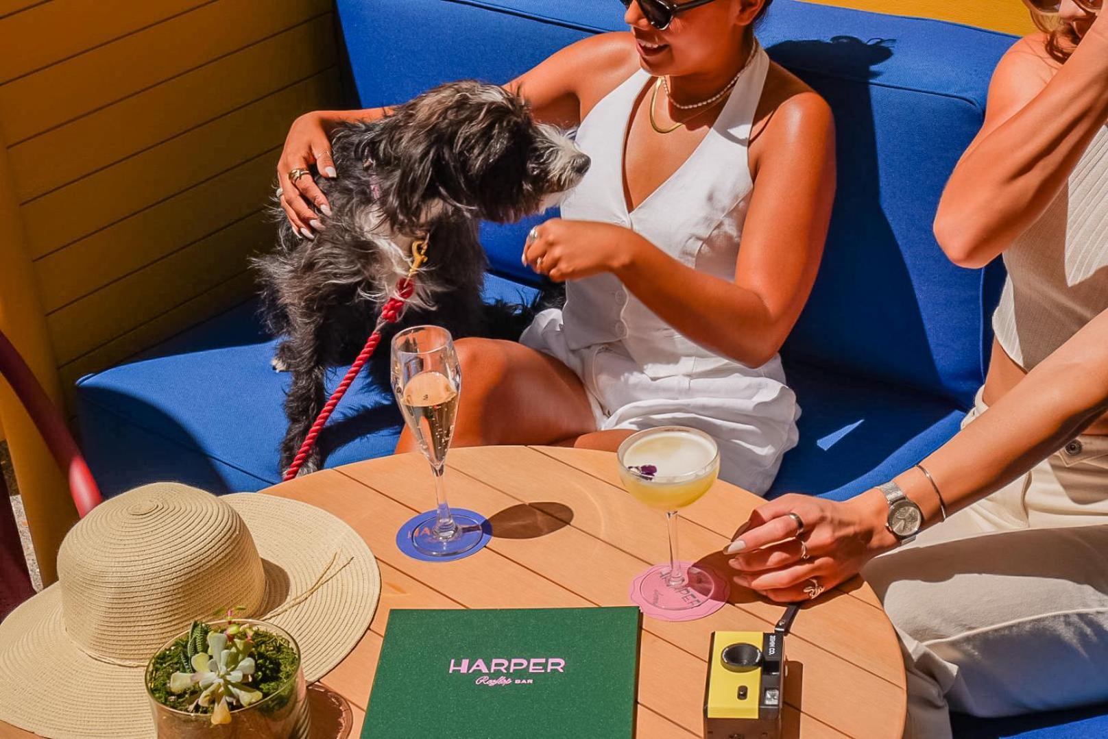 Отель Kimpton Margot Sydney By Ihg Экстерьер фото Harper's Magazine
